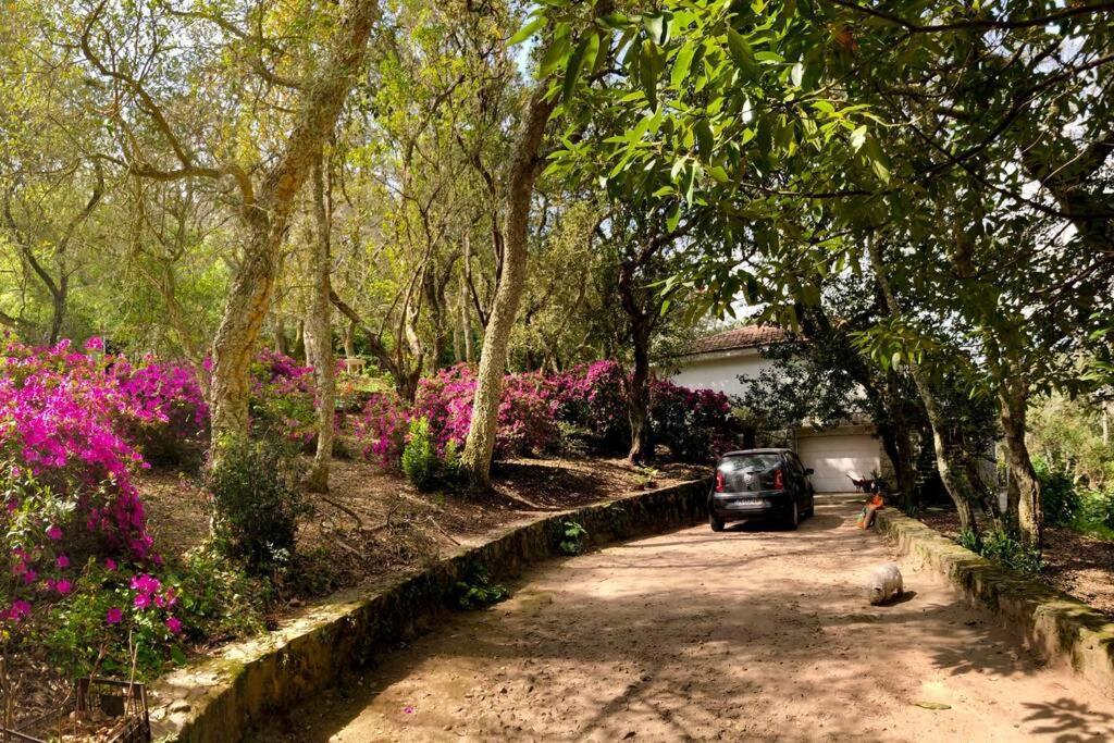Quinta Biologica, Com Vista, Na Serra De Sintra Exterior photo