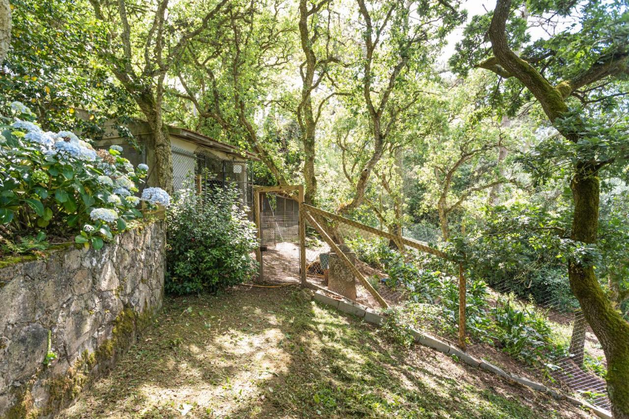 Quinta Biologica, Com Vista, Na Serra De Sintra Exterior photo