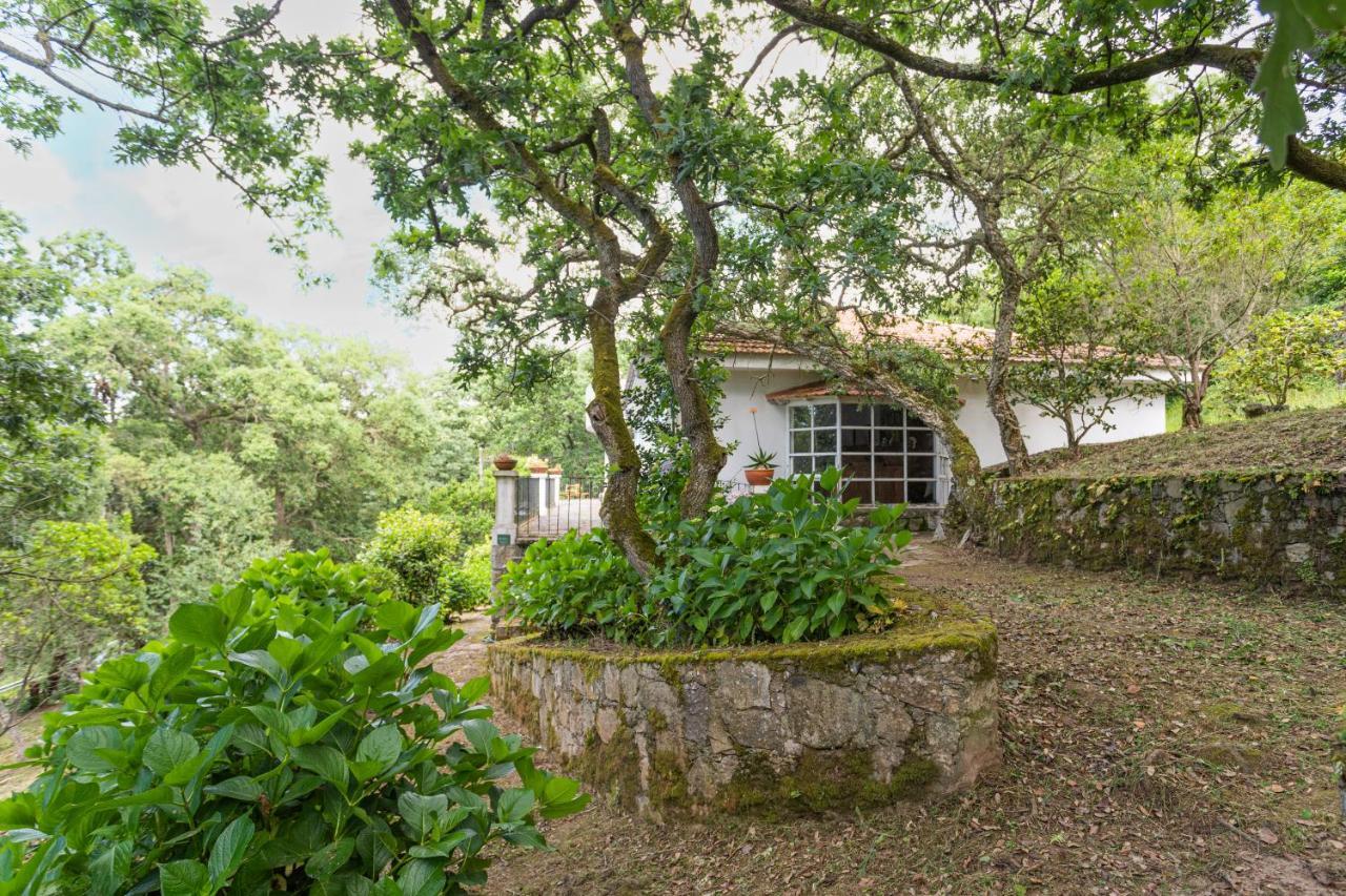 Quinta Biologica, Com Vista, Na Serra De Sintra Exterior photo