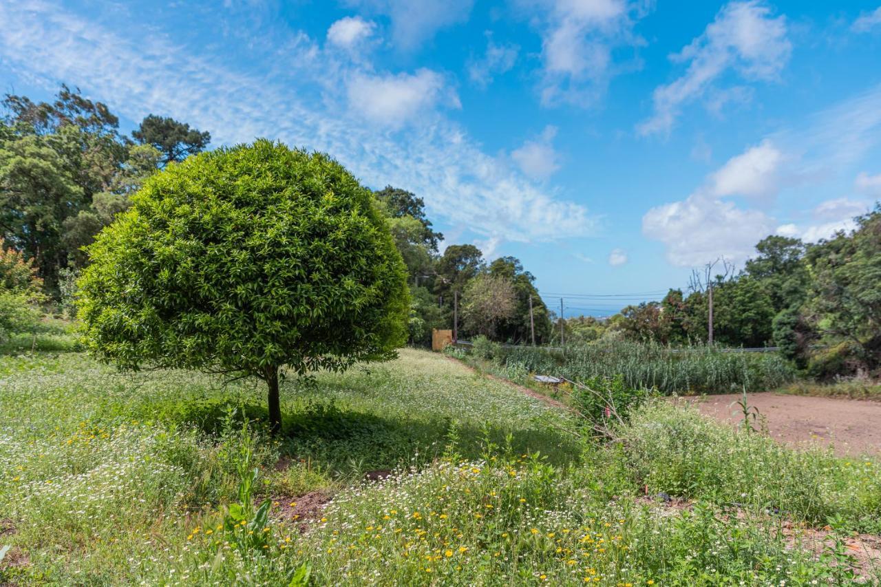 Quinta Biologica, Com Vista, Na Serra De Sintra Exterior photo